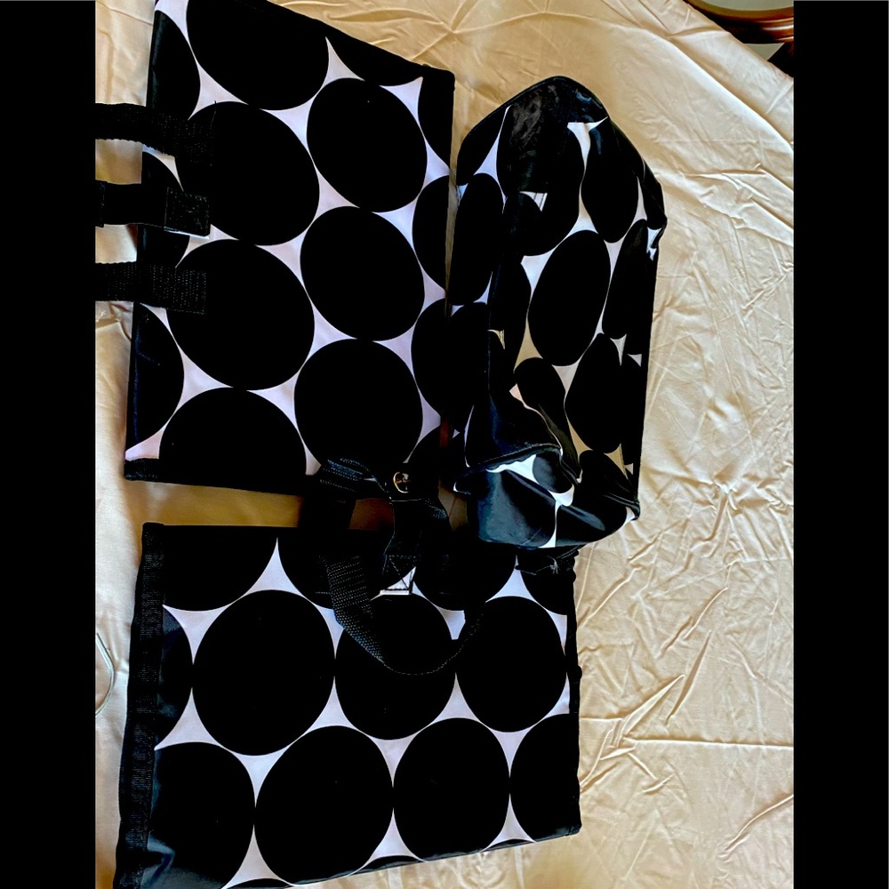 Three 31 bags 2 accessory / jewelry bags one travel bag